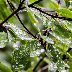 Meet your Posher, Ariane